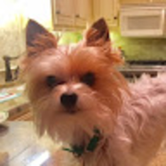 cdbedingfield